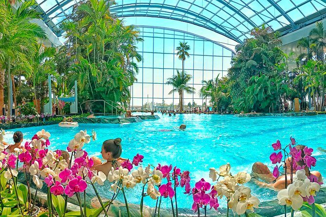 Therme Bucharest Tickets and Water Theme Park - Who Should Consider Visiting?