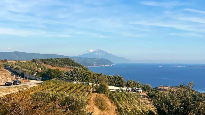 Thessaloniki: Halkidiki, Arnaia, Ierissos  Swim & Tasting - FAQ