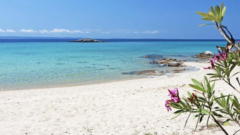 Thessaloniki: Halkidiki/Sithonia Swim, Sunset & Olive Tour - FAQ