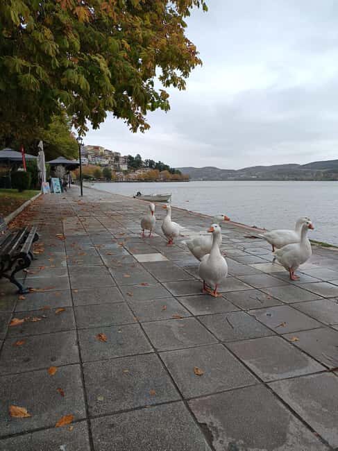 Thessaloniki: Kastoria, Monastery & Dragon's Cave Full Day - FAQs