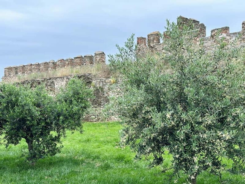 Thessaloniki Old Town Walking Tour-Culture-Nature-Plants - Key Points