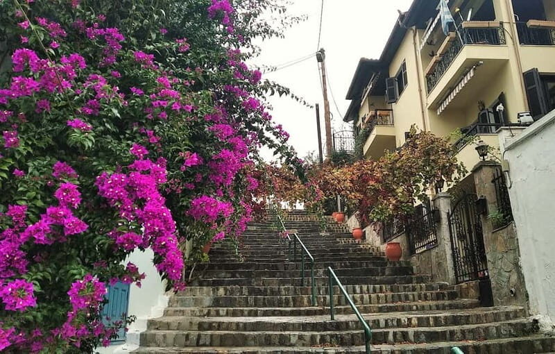 Thessaloniki Old Town Walking Tour-Culture-Nature-Plants - The Authentic Herbal Refreshment