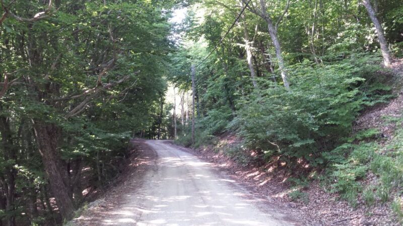 Thessaloniki: Private Mountain and Beaches SUV Safari - Who Is This Tour Best For?