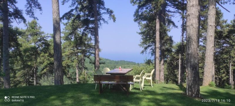 Thessaloniki: Private Olympus, Gorge, Old Panteleimonas - FAQ