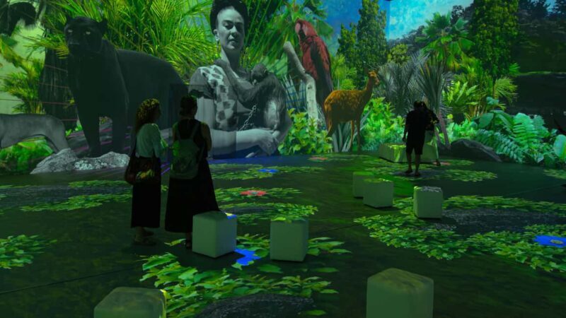 Thessaloniki: Ticket for Frida Kahlo Beyond the Icon Immersive Experience - Final Thoughts