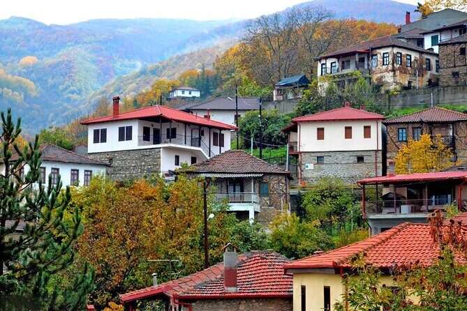 Thessaloniki to Naoussa, Wine Tasting Tour Private Day Trip - A Closer Look at the Thessaloniki to Naoussa Wine Tasting Tour