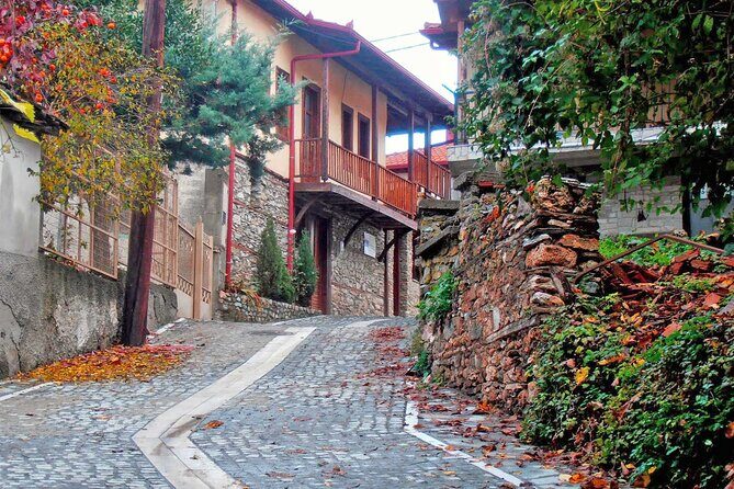 Thessaloniki to Naoussa, Wine Tasting Tour Private Day Trip - What You Can Expect from the Tour