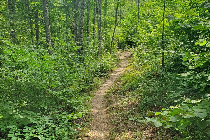 Thessaloniki to Naoussa, Wine Tasting Tour Private Day Trip - Final Thoughts