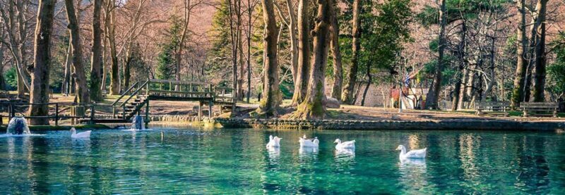 Thessaloniki: Vergina, Agios Nikolaos, and Edessa Full Day - Key Points