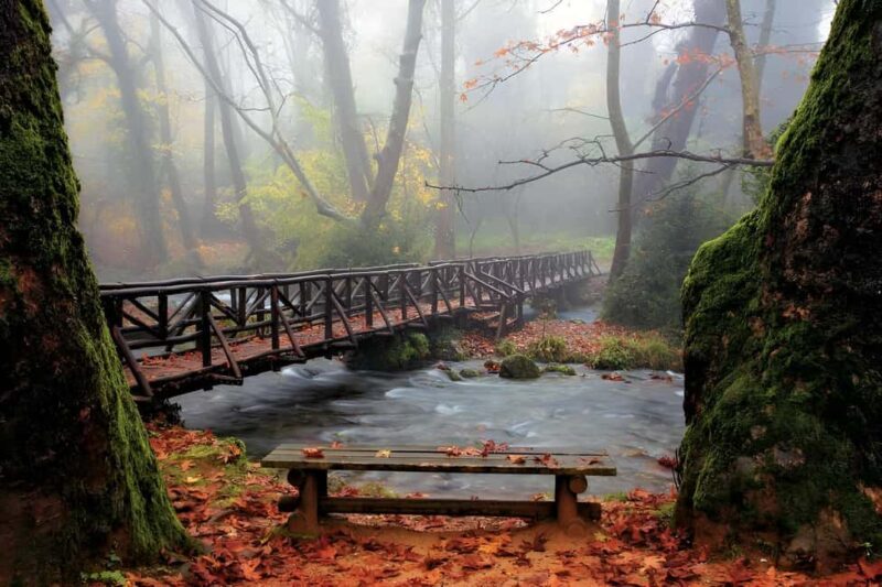 Thessaloniki: Vergina, Agios Nikolaos, and Edessa Full Day - Starting Point and Ease of Meeting