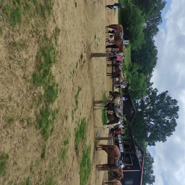 Thessaloniki:Horse Riding in a farm - FAQ