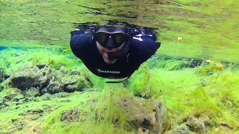 Thingvellir: Silfra Freedive Adevnture with a Guide - Introduction
