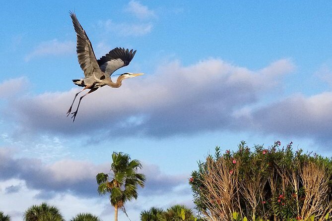 Thousand Island Mangrove Tunnel, Manatee & Dolphin Kayak Tour w/Cocoa Kayaking - FAQs