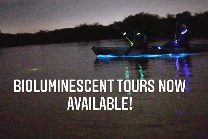 Thousand Islands Bioluminescent Kayak Tour with Cocoa Kayaking! - The Guides and Their Role in Making It Memorable