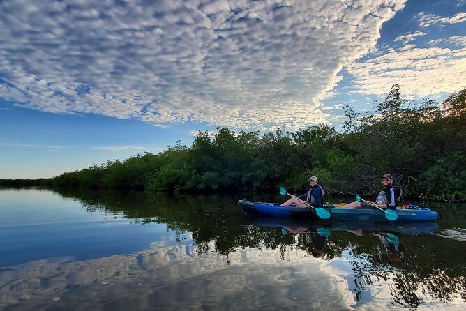 Thousand Islands Mangrove Tunnel Kayak Tour with Cocoa Kayaking! - An In-Depth Look at the Thousand Islands Mangrove Tunnel Kayak Tour