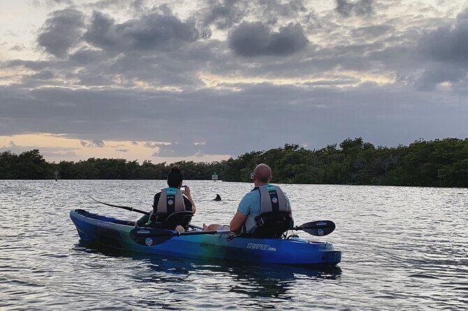 Thousand Islands Mangrove Tunnel Sunset Kayak Tour with Cocoa Kayaking! - What You Might See