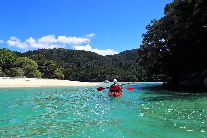 Three Day Classic Kayaking in New Zealand - What to Expect from the Experience