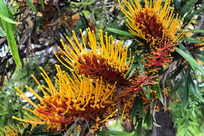 Three Parks Tour | Private Ride by Bike, E-Bike, E-Step or Segway - The Ride: What You Can Expect