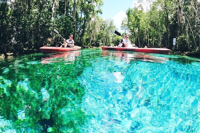Three Sisters Springs Kayak And Swim Eco-Tour Crystal River - An In-Depth Look at the Tour Experience