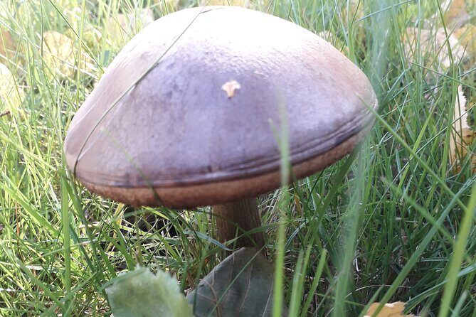 Three-summit hike in Bergen - What We Like and What to Watch Out For