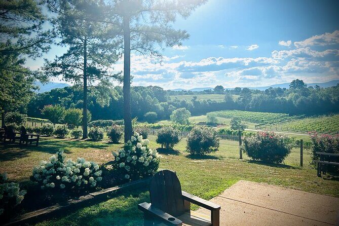 Three Vineyards Half Day Private Wine Tour From Asheville - A Friendly Take on the Three Vineyards Half Day Private Wine Tour From Asheville