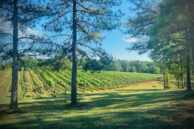 Three Vineyards Half Day Private Wine Tour From Asheville - What to Expect on the Itinerary