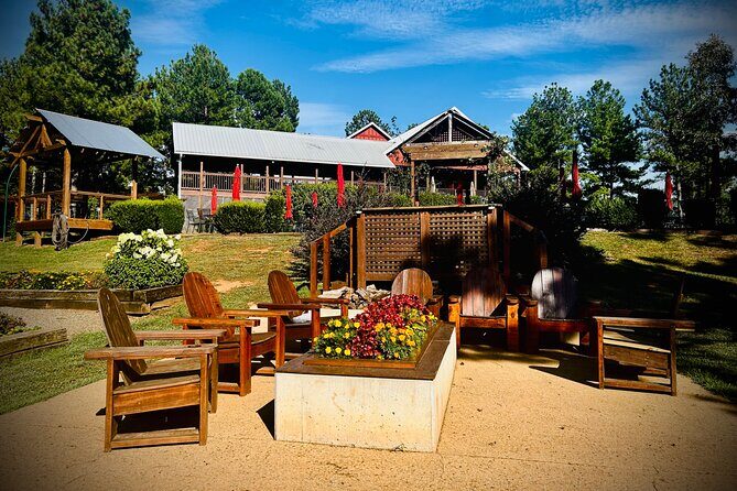 Three Vineyards Half Day Private Wine Tour From Asheville - How the Experience Feels