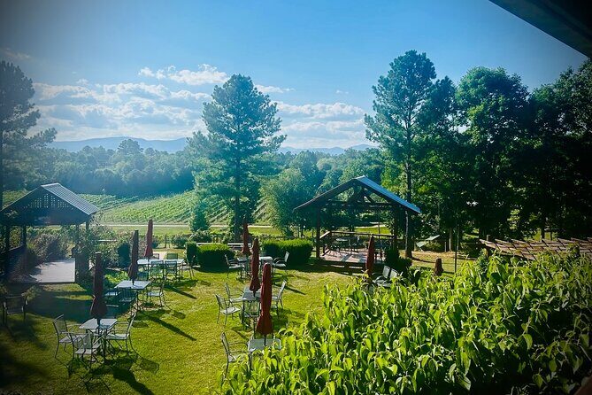 Three Vineyards Half Day Private Wine Tour From Asheville - Final Thoughts