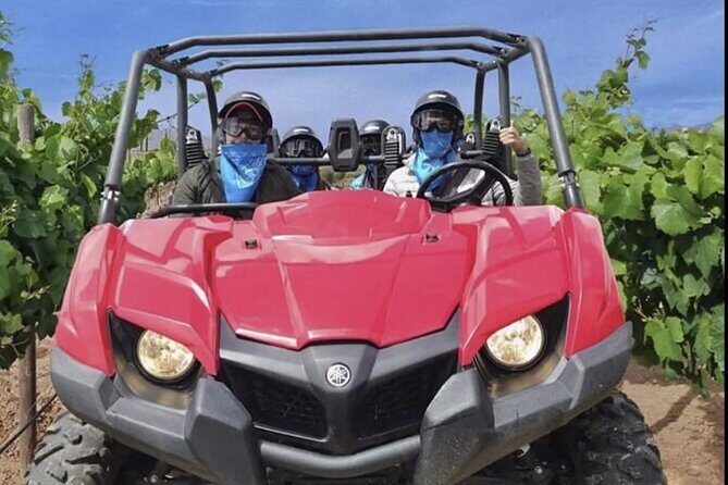 Thrilling ATV Ride Through Vineyards with Port Pickup - Who Should Consider This Tour?