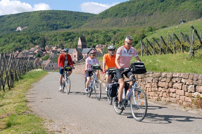 Through Alsace Vineyards and Wine Villages Private Bike Tour - Exploring the Alsace Vineyards and Villages on Two Wheels: Our Honest Review