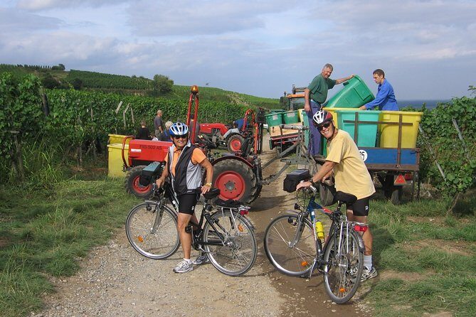 Through Alsace Vineyards and Wine Villages Private Bike Tour - Practical Details and Logistics