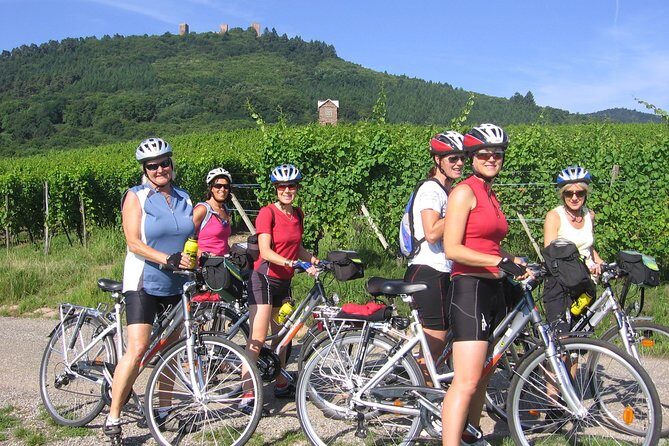 Through Alsace Vineyards and Wine Villages Private Bike Tour - What Do the Reviews Say?