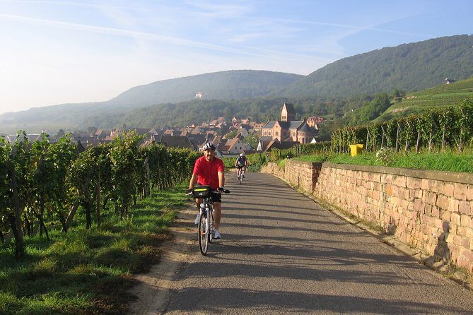 Through Alsace Vineyards and Wine Villages Private Bike Tour - Final Thoughts: Is This Tour Right for You?