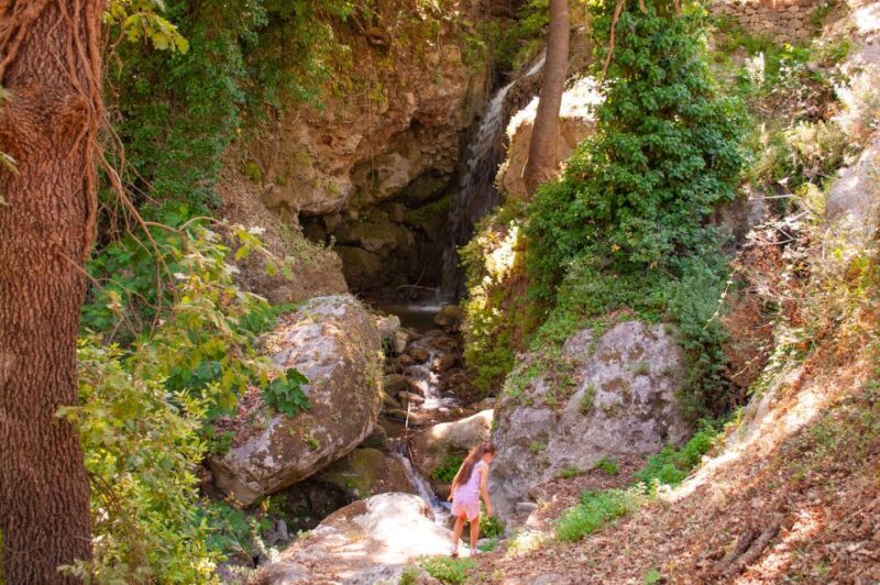 Through Heart of Crete to South & Wine Tasting Private tour - The Downside