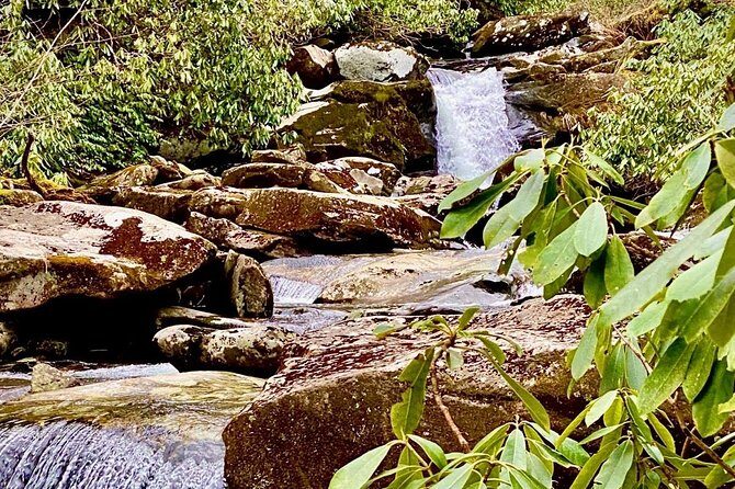 Thundering Streams and Falls of the Smokies Guided Hiking Tour - An Honest, Detailed Look at the Experience