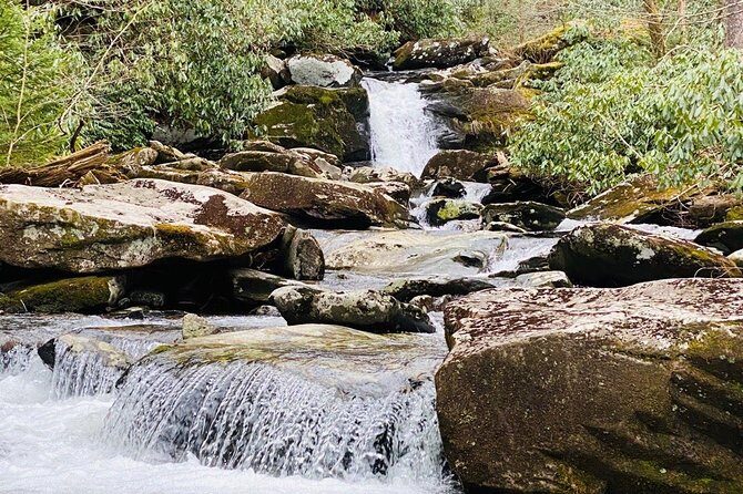 Thundering Streams and Falls of the Smokies Guided Hiking Tour - Who Will Love This Tour?