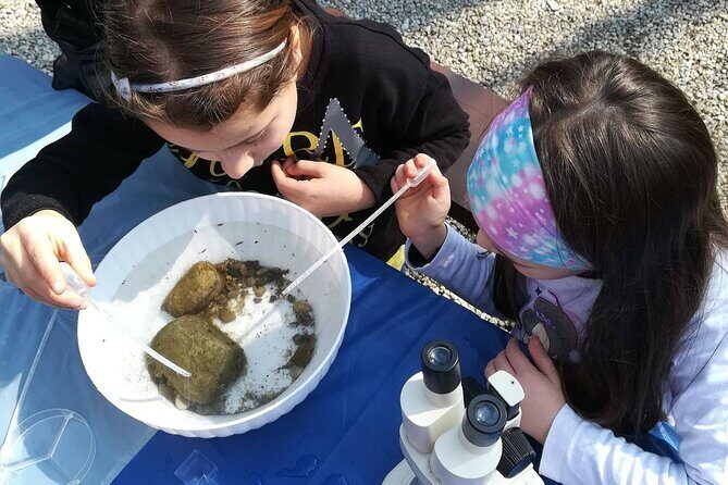 Ticket for Parco Ittico Paradiso at Zelo Buon Persico - Activities and Facilities