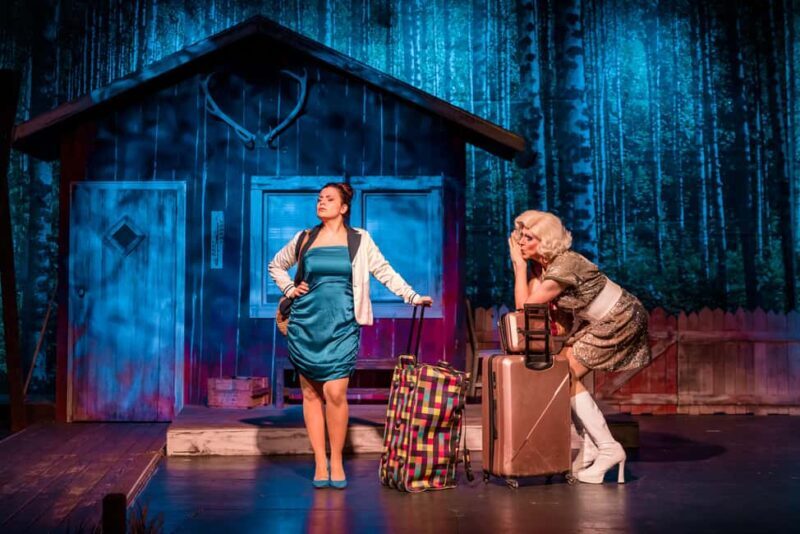 Ticket for the musical comedy "Alter Schwede!" at the COMÖDIE Dresden - What Makes This Show Stand Out