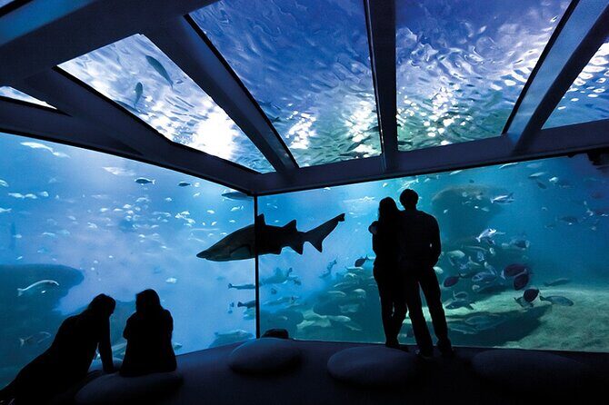 Ticket Palma Aquarium - The Itinerary: What to Expect
