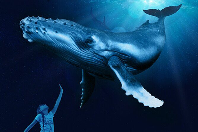 Ticket Palma Aquarium - Final Thoughts