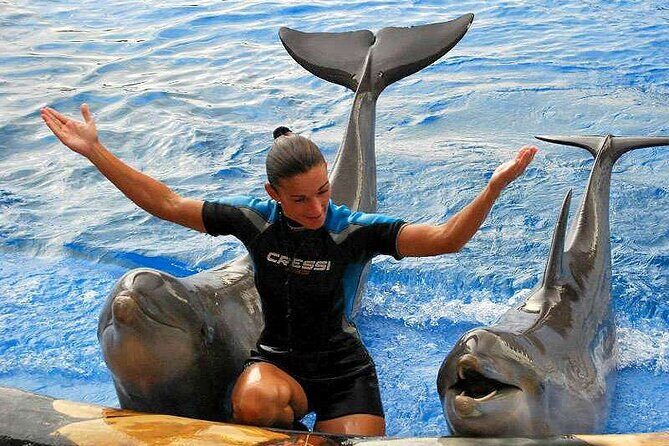 Ticket to Aqualand Tenerife - Practical Tips for Your Visit