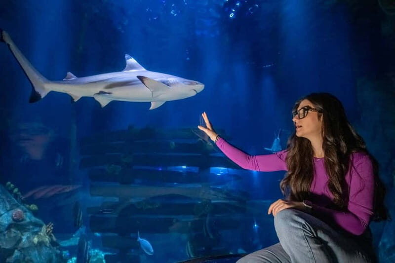 Ticket to SEA LIFE Konstanz - Key Points