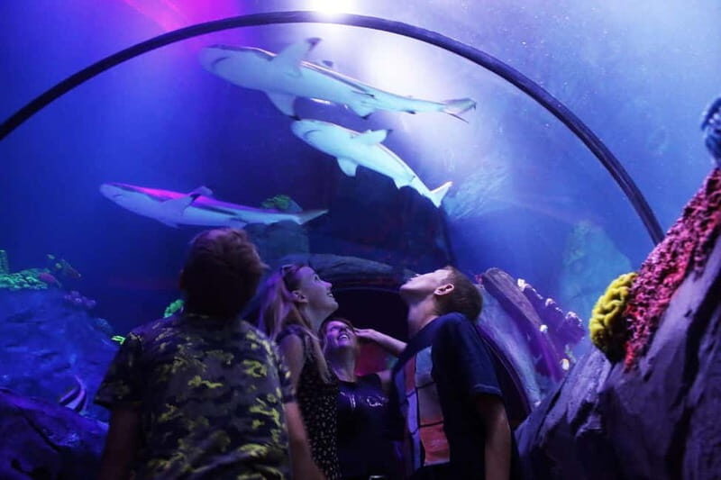 Ticket to SEA LIFE Konstanz - Practical Considerations: Accessibility, Timing, and Costs