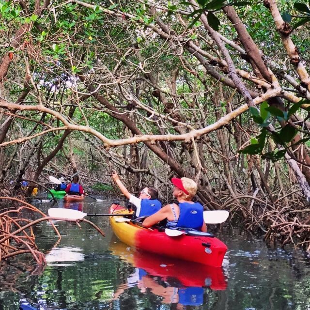 Tierra Verde FL: Coastal Kayaking Tour in Shell Key - What Real Travelers Say