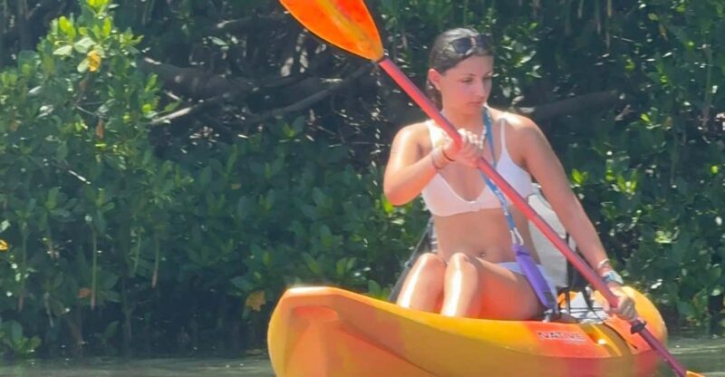 Tierra Verde: Shell Key Mangrove Private Guided 1.5 hr Tour - What makes this tour special?