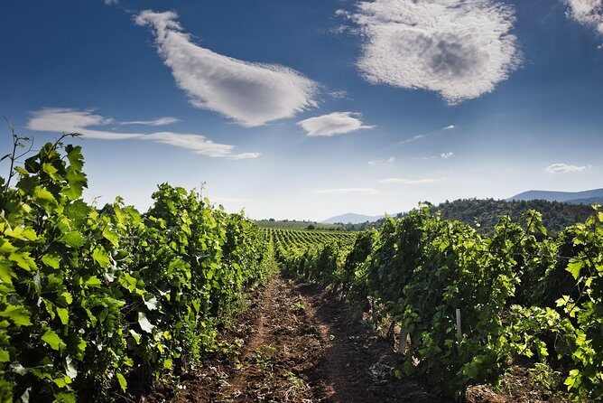 Tikvesh Wine region - Key Points
