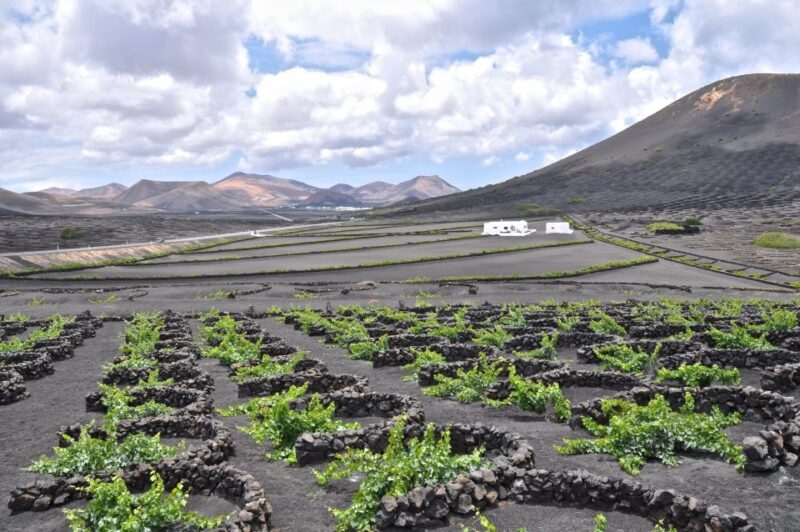Timanfaya And El Golfo For Cruise Passengers (Mornings) - Exploring Lanzarote’s Volcanoes and Coastal Charm