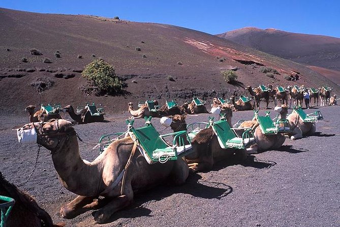 Timanfaya, Golfo, Jameos Agua & Camel Ride (opt) - Lanzarote - La Corona Volcano Viewpoint: The Scenic Pause for Photos