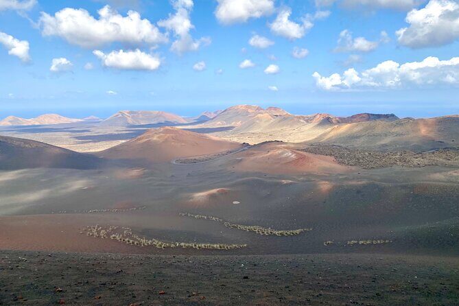 Timanfaya National Park Morning Tour - The Experience on the Ground: What Travelers Say