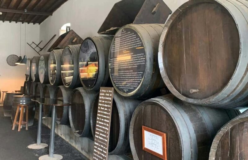 Timanfaya Volcanic day Tour in Lanzarote - What to Expect from the Tour